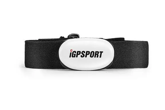 Group 1 IGPSPORT IGS618 компьютерный монитор сердечного ритма для велосипеда, датчик частоты вращения, велосипедный ANT+ Bluetooth 4,0 принадлежности для спидометра - Цвет: Group 1