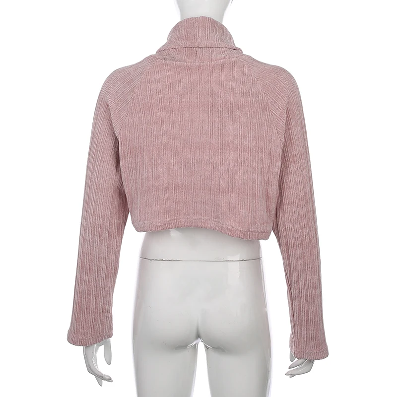 Darlingaga Повседневный вязаный Однотонный свитер с высоким воротником, весенний осенний пуловер, женские короткие топы, толстовки, уличная одежда