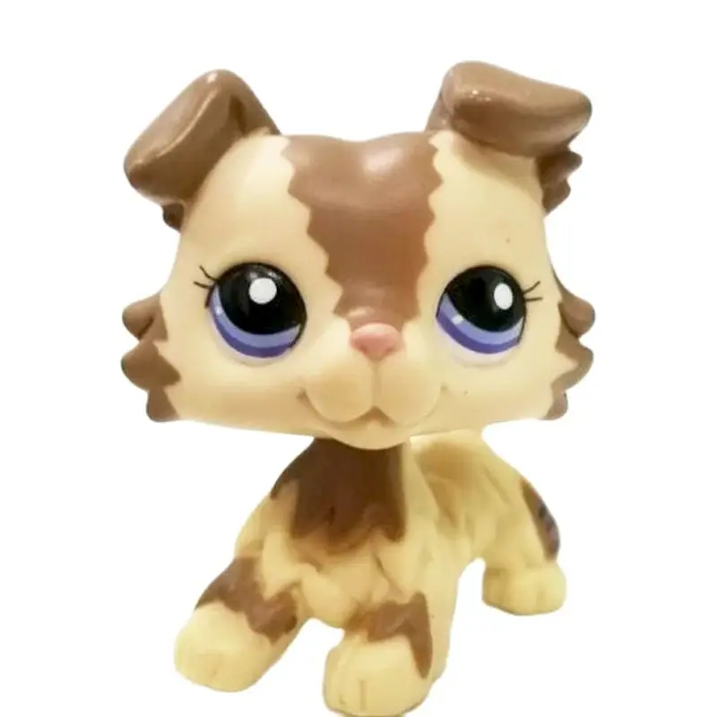 Лпс 2545. Лпс гималайская кошка. Littlest pet shop 425. Покупать стар пет. Лпс кити кэт.