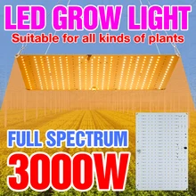 

LED Phyto Lamps 220V Full Spectrum Flower Seed Light Bulb 2000W Led Grow Tent Lights 3000W Quantum Board Hydroponic Lamp Lampara
