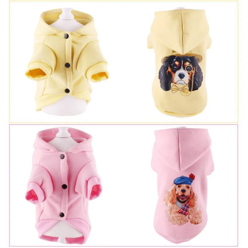 

Pet clothes two-legged sweater hoodie cotton padded warm jacket cartoon clothes Y