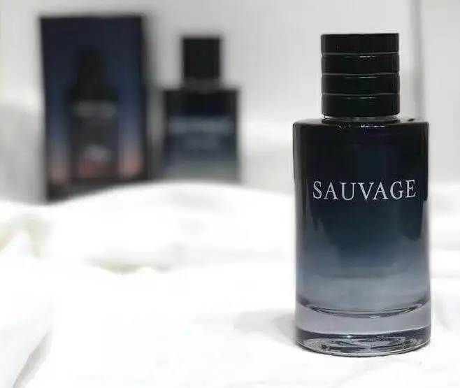 1:1 Бесплатная доставка 100% оригинал SAUVAGE EDP 100 мл 3 4 унций Eau De PARFEM духи для мужчин