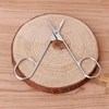 Stainless Steel Small Eyebrow Nose Hair Scissors Cut Manicure Facial Trimming 3