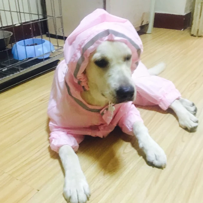 Большой водонепроницаемый дождевик для собак золотой ретривер зонтик одежда