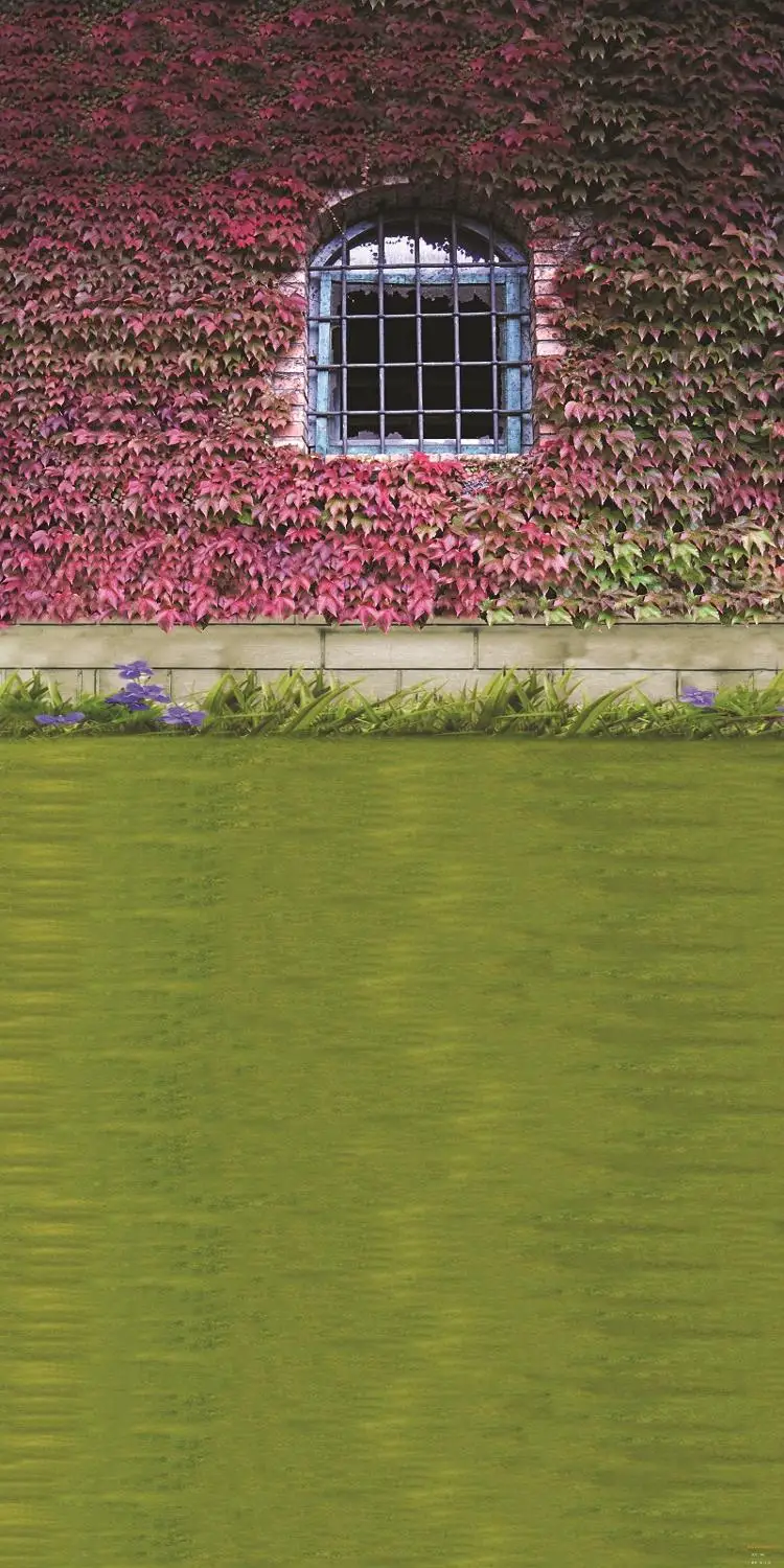 Реквизит для фотосъемки Nitree фон улицы фотография цветок дверь дерево Стена Окно