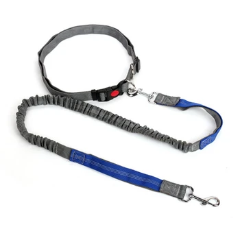 

01Pet Net Cloth Sports Bag Elastic Belt Hands Free Retractable Leash Running Walking Set for Large Small dog harness01