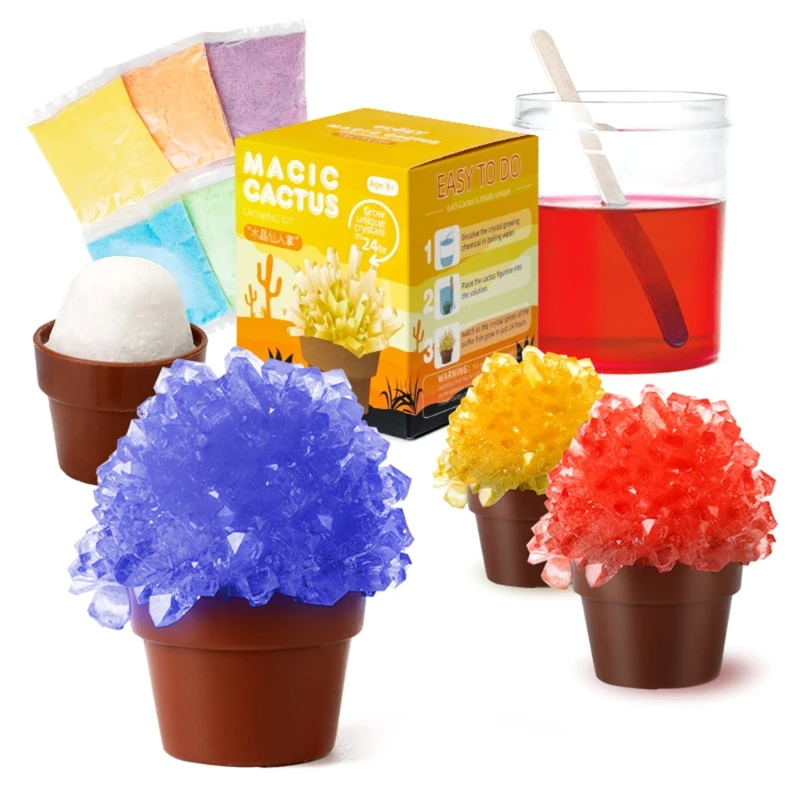

2024 New Kids Simulation Crystal Cactus Toy Portable Science Learning Educational Toys