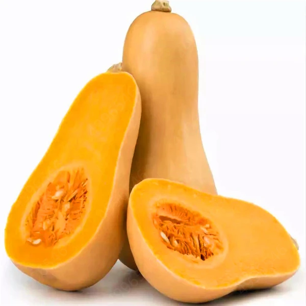 1134