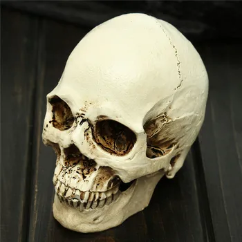 

Halloween Taro Props Bar Haunted House Room Escapes Decoration Horror Scary Decorative Human Skull Resin Trumpet Craft Skull