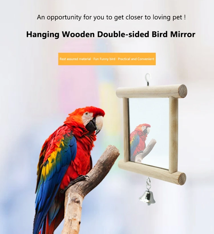 1 - 13185624301_1897535323