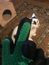 Combs Hair-Gloves Cats-Brush-Comb Cleaning-Supplies Dogs Silicone PROSTORMER Bath Deshedding