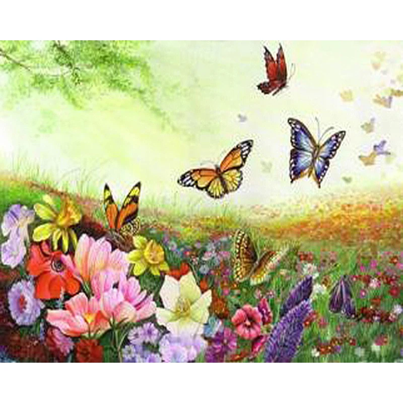 

DIY Oil Picture By Number Butterfly Drawing HandPainted Coloring Paint On Canvas Painting By Number Anima For Adults Home Decor