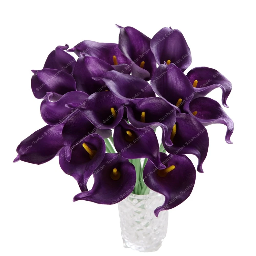 

Fragrance 2pcs Calla Bulbs Bonsai Flower Bulbs Calla Lily Bulbs Plant Pots DIY Garden Office Decoration Plants