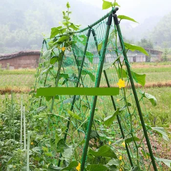 

Tomato Cage Garden Plant Fruit Climbing Frame Support Flowers Frame Net Trellis Vegetable Seeds Vertical Garden Stand Tools Item