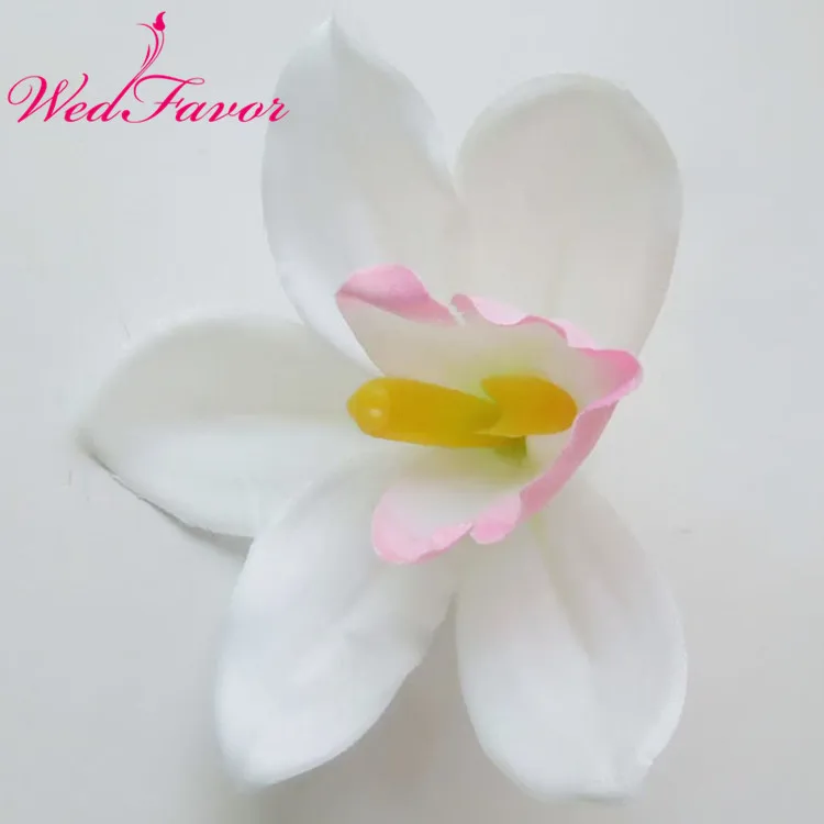 NZF-1785_副本