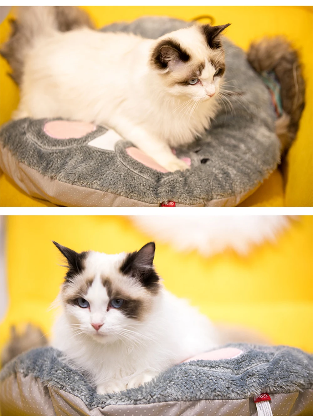 c022da07cbf2f5f52bda0d254ffedf4e_O1CN01puLzLi1N8wtteadFY_!!2200675261526