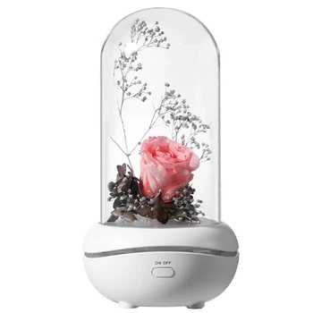 

Creative-Preserved Fresh Flower Fragrance Lamp Colorful Ambience Light USB Aroma Diffuser Household Gift Birthday Gift(Pink)
