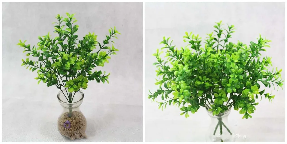 9277776668_2032011975