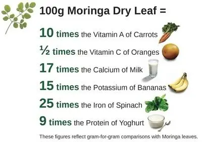 100 г/500 г/1000 г порошок Моринги органический Oleifera лист натуральный чистый без ГМО