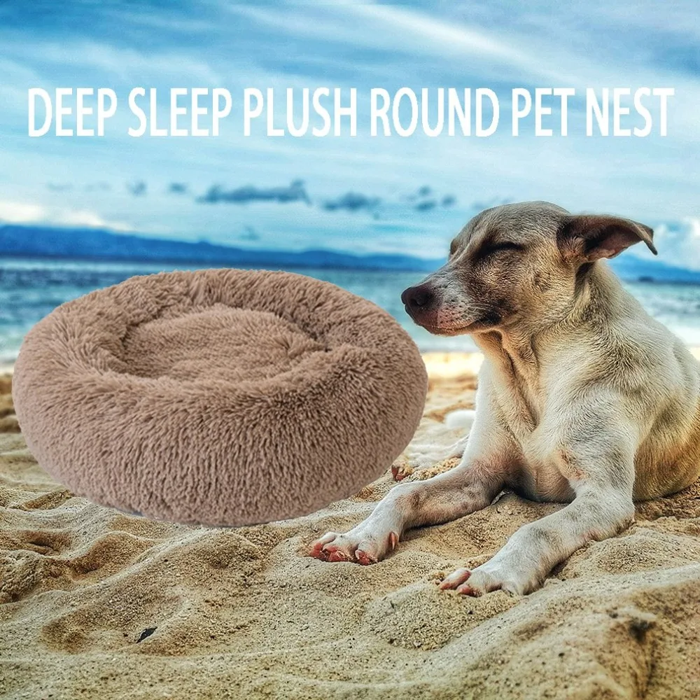 YY11456412-C-20190715-1