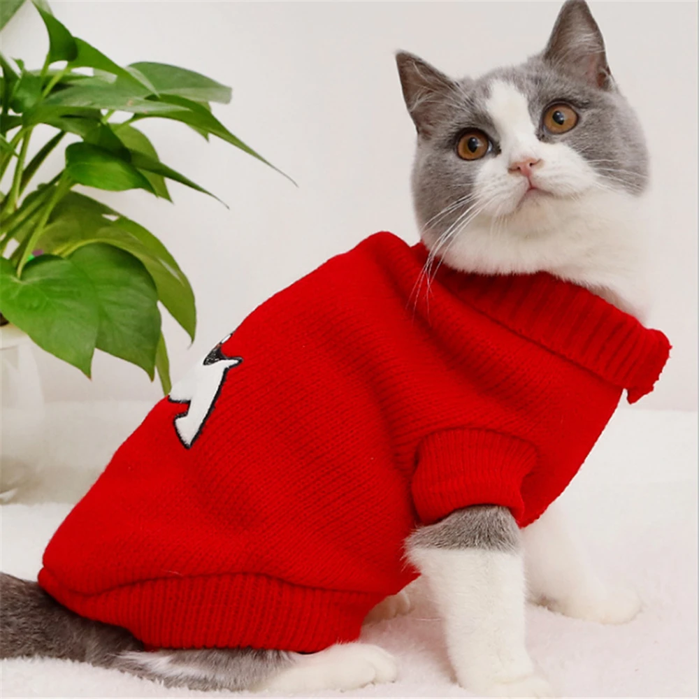 12777632745_1118210482