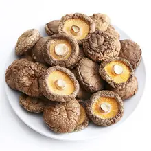 

Shiitake Lentinus Edodes Xiang Gu