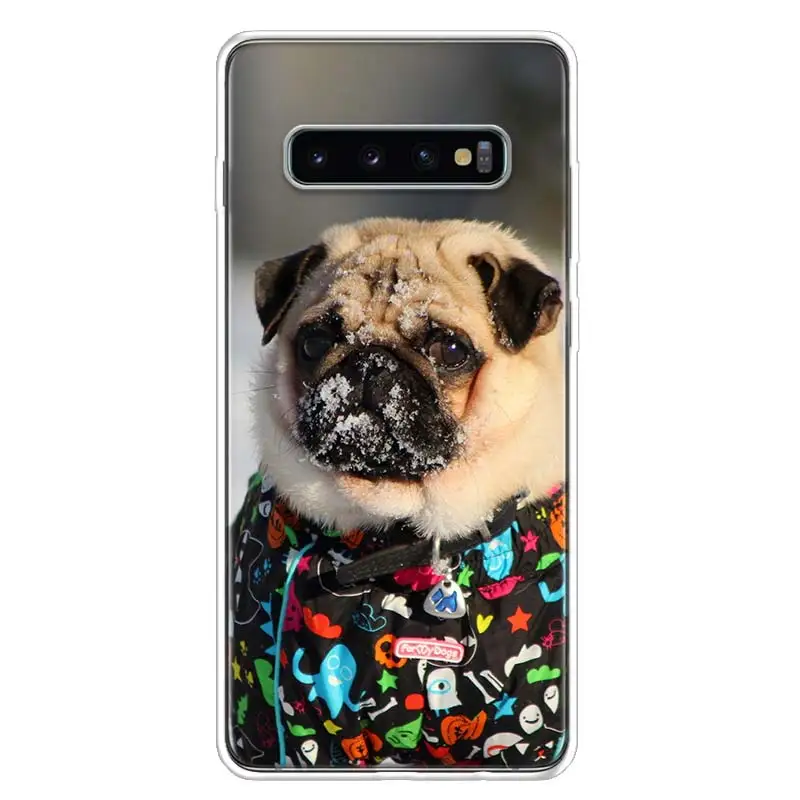 TW113-10 Изображением симпатичного мопса или крышка чехол для телефона для samsung Galaxy S10+ Note 10 9 8 S9 S8 J4 J6 J8 плюс S7 S6 корпус под плетенную сумку - Цвет: TW113-10