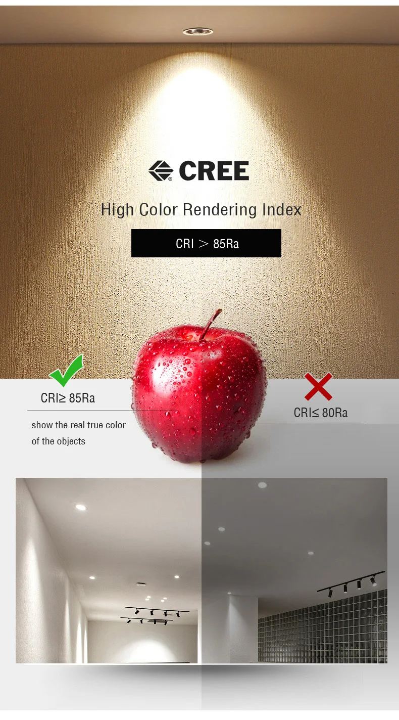 790 237869_1407495463副本副本