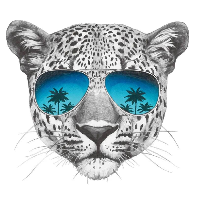 Parches Cool Leapard с солнцезащитными очками комбинированные железные нашивки для