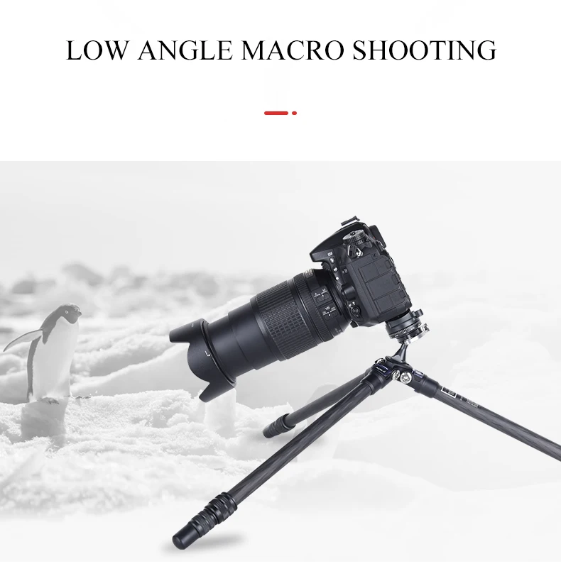 CMP163CL+BC16详情页_08