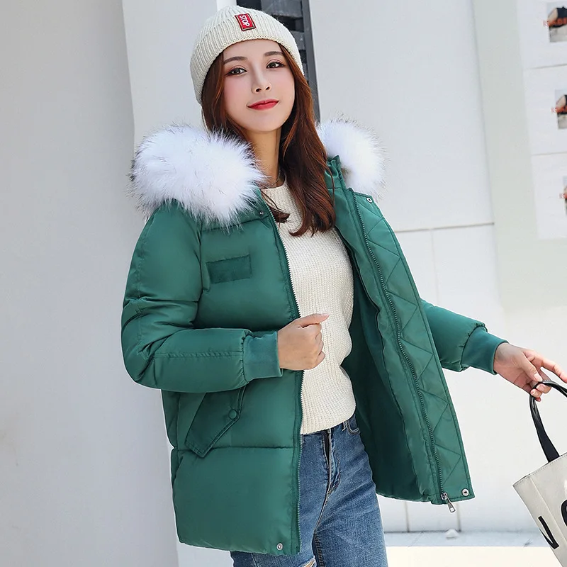 

2019 Winter New Style down Jacket Cotton-padded Clothes Women's Korean-style Short Large Fur Collar down Coat Junior High School