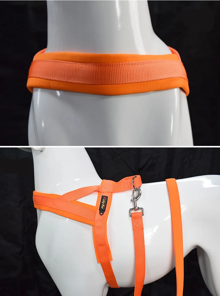 No Pull Dog Vest Harness with Leash