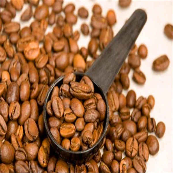 Big-promotion-Pure-Arabic-Coffee-Bean-Outdoor-Bonsai-Potted-Fresh-Arabica-Coffea-Tree-100-Natural-Coffeebean (2)
