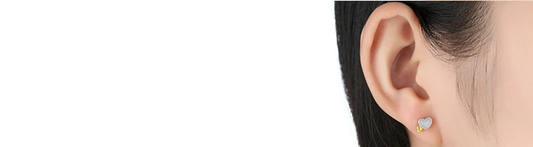 8684320840_1693517766