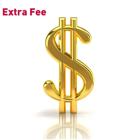 

Дополнительная стоимость доставки или разница в товаре Fee80 из H4