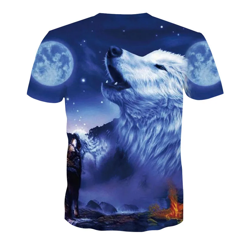 D-131--凯诚T恤短袖模板-后