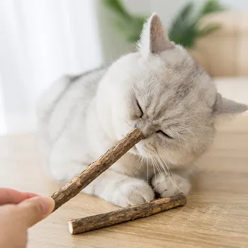 

Catnip molar Toy Cat Teething Stick Biting Stick Mint Ball Teeth Cleaner To Remove Bad Breath Small Milk Cat Snacks Cat Supplies