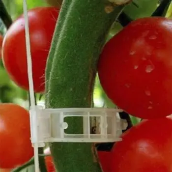 

Green Gardening Support Straighten Plant Stems Stalks Tomatoes Cucumbers Fruits Vegetables Tools Horticultural Planting Clip