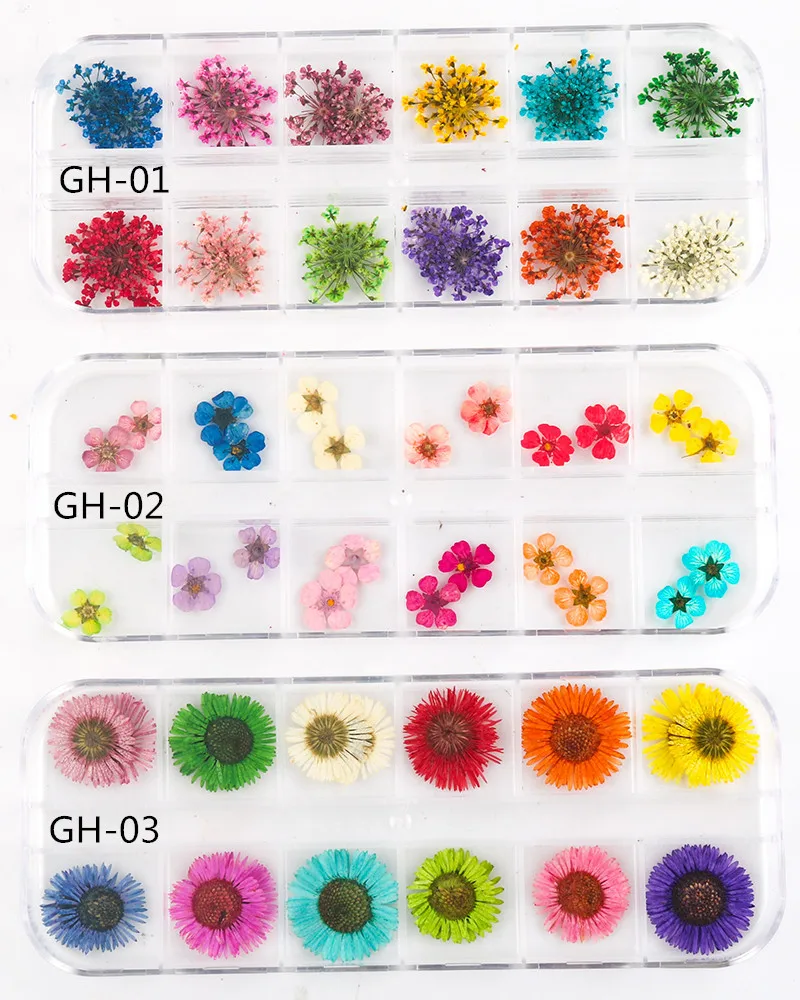 14469239982_2000899284