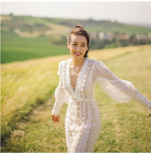 

Aihuyigui Spring Autumn Runway Hollow Out Butterfly Pattern Dress Women Sexy V-neck Lantern Sleeve Slim Female Dresses Dr793