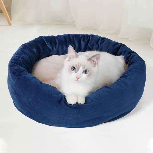 shiny rapidash plush