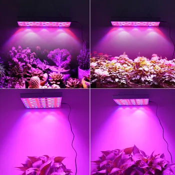 

Plants Grow LED Light 35W 70W Full Spectrum for Greenhouse Grow Tent Plants Seedling and Flower Plants Grow Light