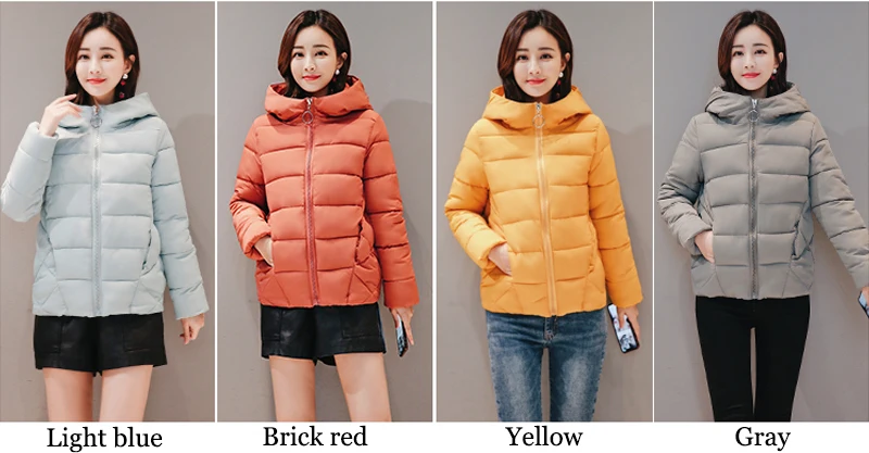2019 Casual Brief Women Winter Jacket Hooded Padded Autumn Plus Size 5_A2_3