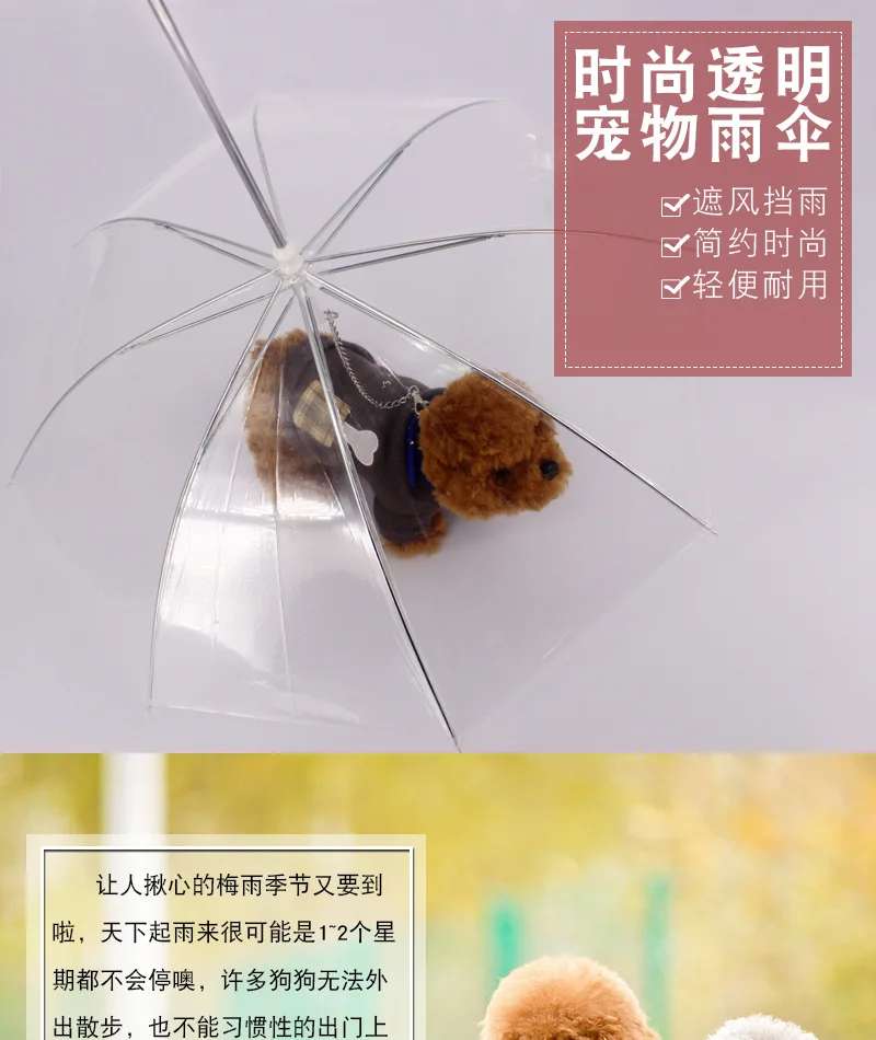 3717859955_1897535323