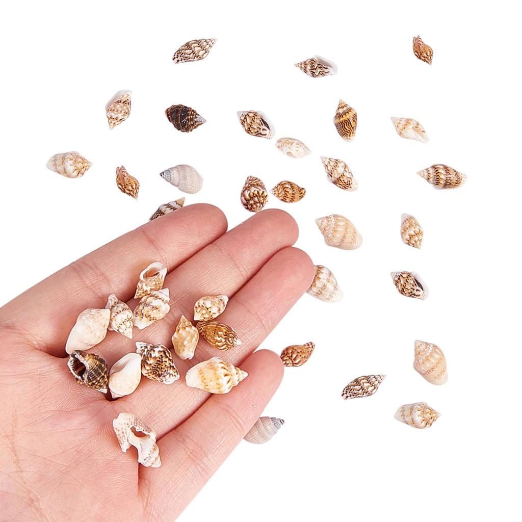 

1 Box Assorted Sea Shell Shell Beads Jewelry Making DIY Beach