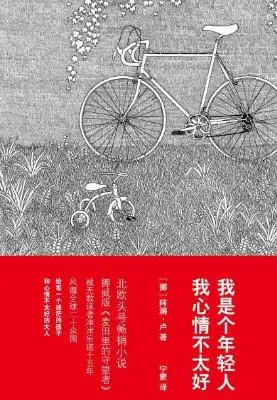 我是个年轻人，我心情不太好