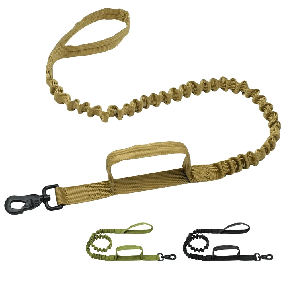 police dog training on ropes