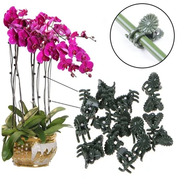 

100 Pcs / Pack Vegetable Clips Garden Cute Flower Gardening Bonsai Shape Clips Vine Fixed Clips Graft Plants Vine clips