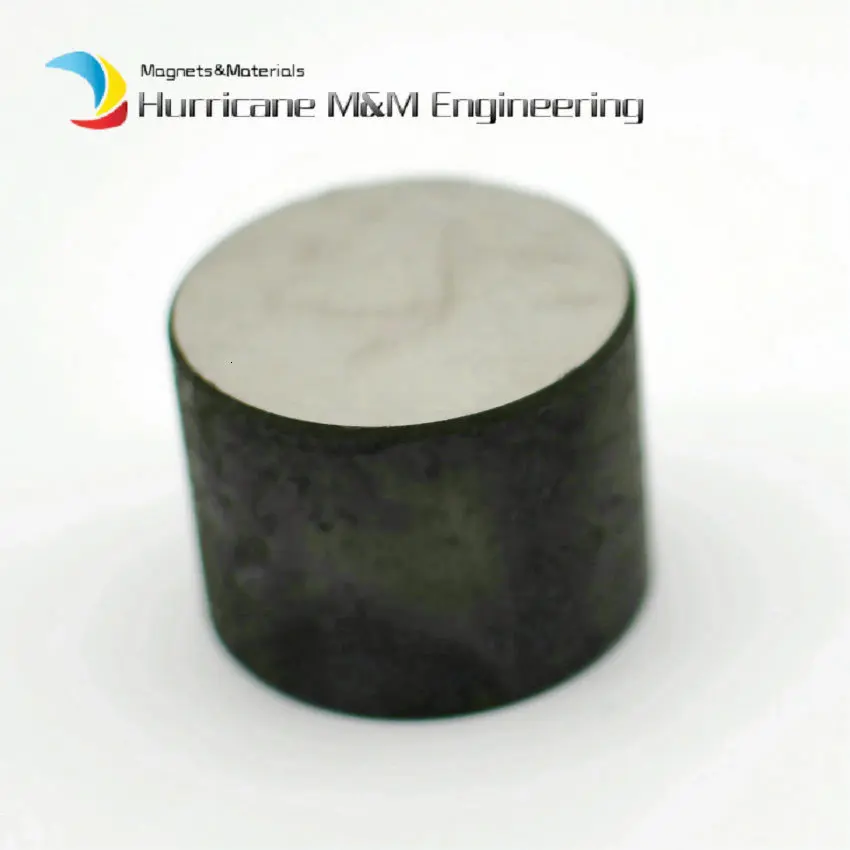 Alnico8 D40x30 (1)