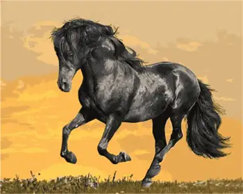 

DRAWJOY Framed Picture Painting & Calligraphy Of Animal DIY Painting By Numbers Coloring By Numbers Home Decor Wall Art